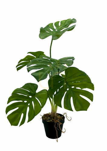 Sprawdź Sztuczna Roślina Monstera 65 cm