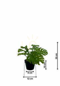 Sztuczna Roślina Monstera 20 cm small 1