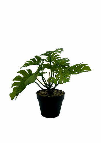 Sprawdź Sztuczna Roślina Monstera 20 cm