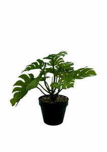 Sztuczna Roślina Monstera 20 cm small 4
