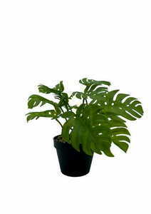Sztuczna Roślina Monstera 20 cm small 0