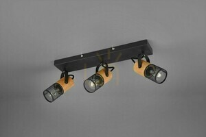 Plafon Trio TOSH 804300332 small 1