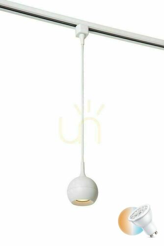 Sprawdź Lampa wisząca do szynoprzewodu Lucide TRACK Favori biała GU10 1-fazowa 09956/01/31