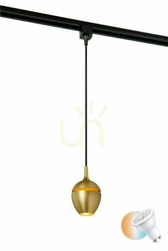 Sprawdź Lampa wisząca do szynoprzewodu Lucide TRACK Preston złota GU10 1-fazowa 09958/01/02