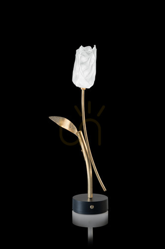 Sprawdź Lampa Nowoczesna Slamp Tulip Battery Black Base