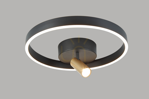 Sprawdź PIGNANO - Lampa sufitowa lub naścienna Aviano