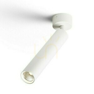 Downlight Darrin R Natynkowa Biała 230 V Led 6 W 24° 3000 K small 1