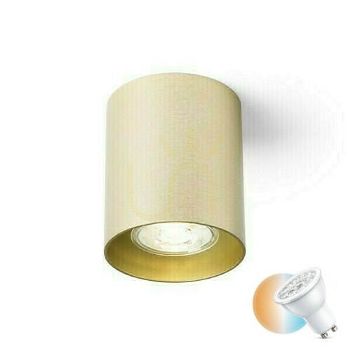 Sprawdź Lampa sufitowa Rendl Mantova I R14214, mosiądz szczotkowany, GU10