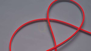 Neon LED Flex 3Y 4x10 140 LED/m 12W/m 24V RED, 5m small 3