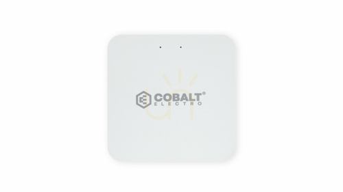 Sprawdź Cobalt Electro Bramka Zigbee 3.0