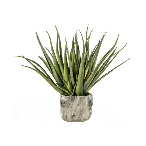 Sprawdź Sztuczny aloes w doniczce efekt kory Gallery Direct 35x35x53 cm 5059413399169