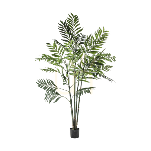 Sprawdź Palma Areka sztuczna 152 cm zielona Gallery Direct 5059413399770