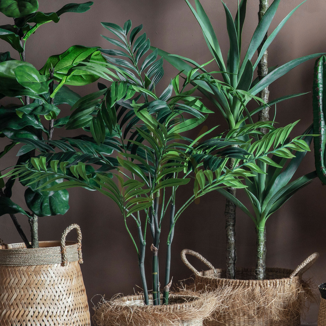 Zobacz Palma Areca sztuczna Gallery Direct zielona 91 cm 5059413399763 Palma Areca sztuczna Gallery Direct zielona 91 cm 5059413399763