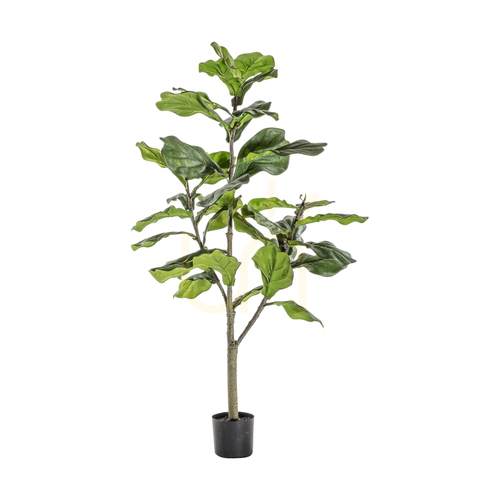 Sprawdź Sztuczne drzewko Fiddle Tree Gallery Direct zielone 120 cm 39 liści
