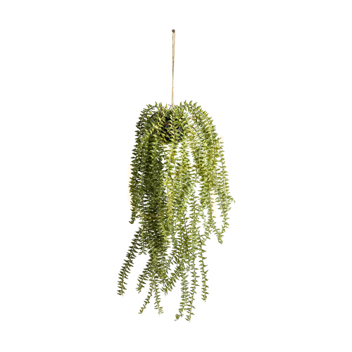 Sprawdź Wiszący kaktus skrzyp zielony 58 cm Gallery Direct 5059413399480