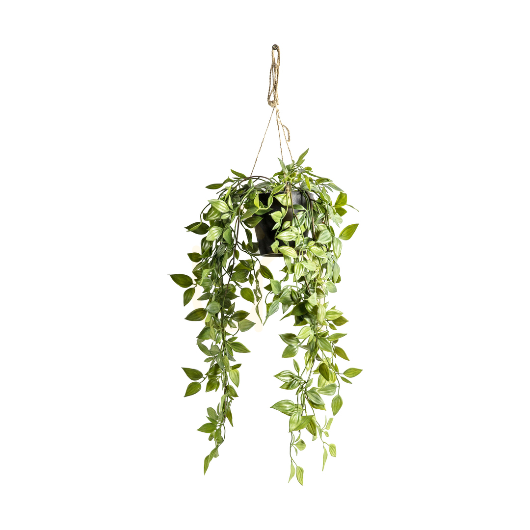 Sprawdź Sztuczny wiszący scindapsus Gallery Direct zielony 48 cm 5059413399466 Sztuczny wiszący scindapsus Gallery Direct zielony 48 cm 5059413399466