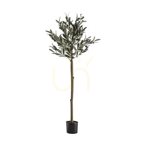 Sprawdź Drzewko oliwne Gallery Direct średnie 121 cm zielone