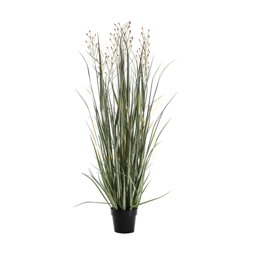 Sprawdź Trawa doniczkowa 130 cm zielono-ruda Gallery Direct 5059413398940