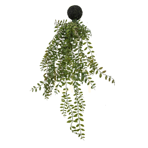 Sprawdź Paproć zwisająca w kuli ziemnej Gallery Direct zielona 60 cm