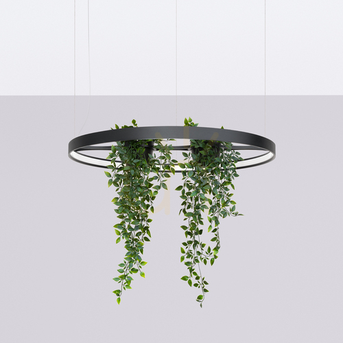 Sprawdź Żyrandol RIO BIO 78 czarny LED 4000K - THORO