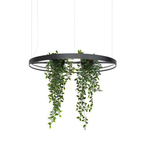 Sprawdź Żyrandol RIO BIO 78 czarny LED 4000K - THORO