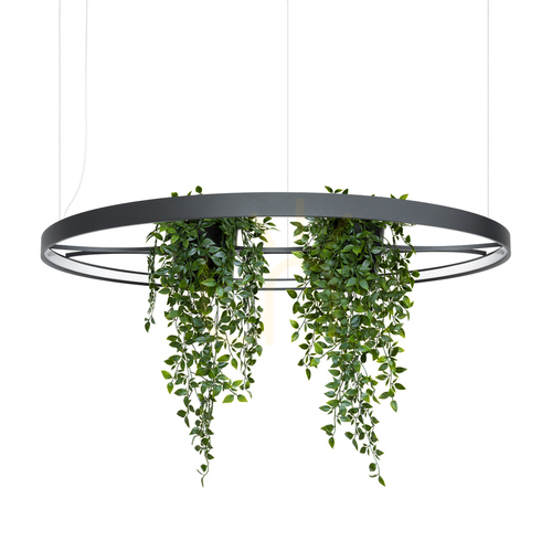 Sprawdź Żyrandol RIO BIO 110 czarny LED 4000K - THORO