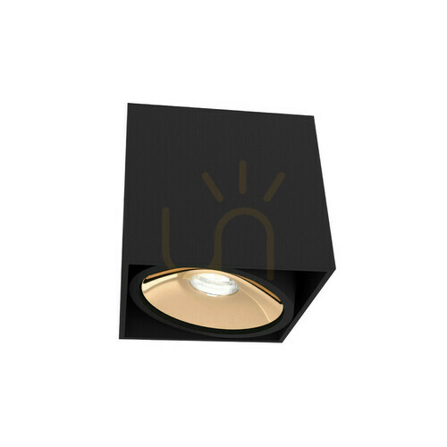 Sprawdź Lampa sufitowa Cardi czarny mat złoty GU10 Open Design Highlights