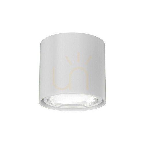 Sprawdź Lampa sufitowa Neo Biała Matowa Open Design Highlights ES111 1x16W IP20