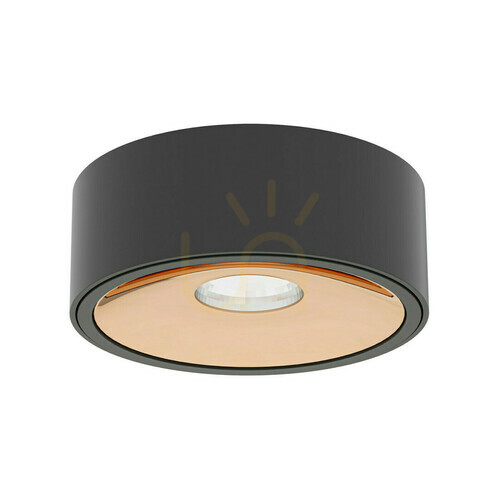 Sprawdź Lampa sufitowa LED Neo Czarna Złota 10W 3000K Open Design Highlights