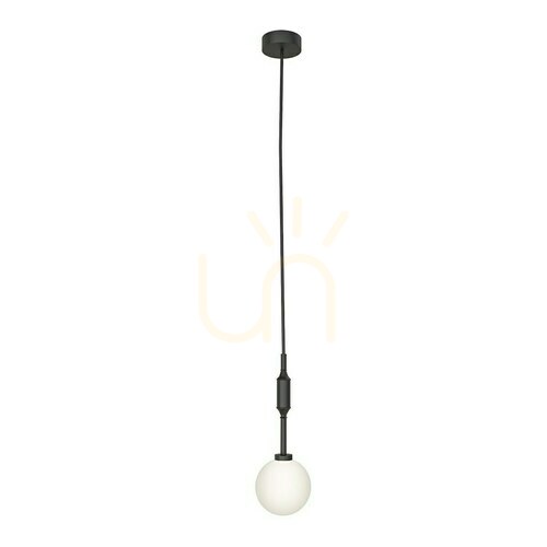 Sprawdź Lampa wisząca Ero Biały Opal Czarny Matowy Open Design Highlights G9 1-punktowa