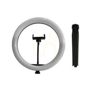 Lampa pierścieniowa LED Ring V-TAC 10W fi255mm Statyw Pilot VT-45010 3200K-5500K 550lm 2 Lampa pierścieniowa LED Ring V-TAC 10W fi255mm Statyw Pilot VT-45010 3200K-5500K 550lm small 2
