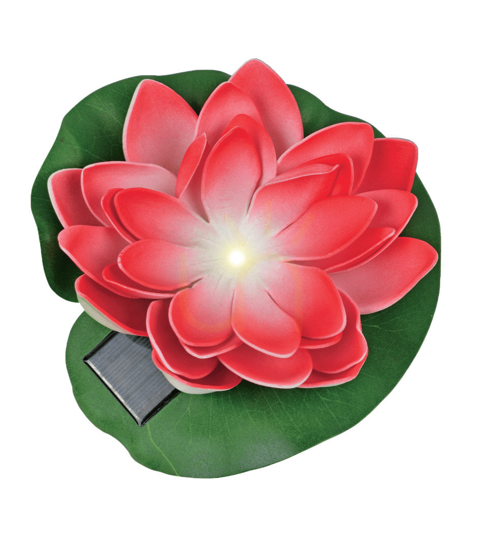 Sprawdź Lampa solarna Zuma Line KWIAT LOTOSU SW-5033-R LED Lampa solarna Zuma Line KWIAT LOTOSU SW-5033-R LED