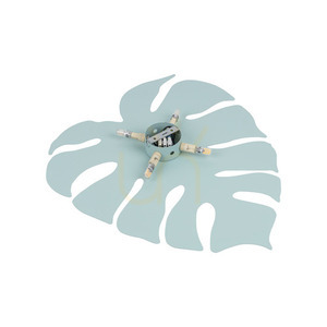 Monstera Xl Mint Kinkiet 4 X G9 small 2