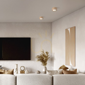 Eve Wood Buk Lampa Sufitowa 1 small 1