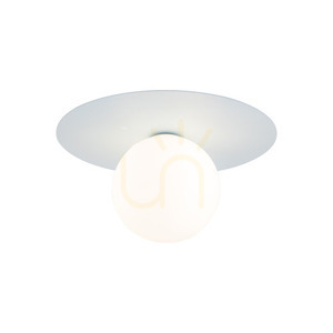 Pixi Blue Kinkiet 1 small 4