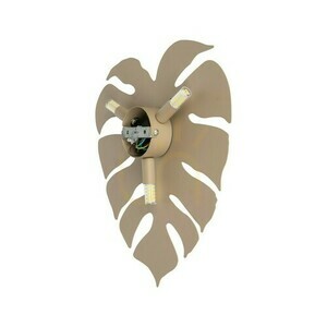 Monstera Sabia Kinkiet  3 small 8