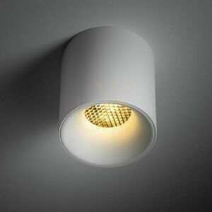 Blaze White Cct 12 W small 1