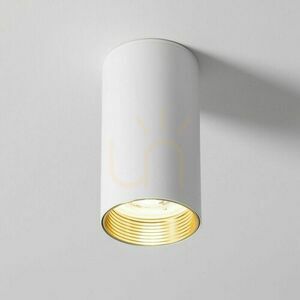 Amis White  Downlight small 4