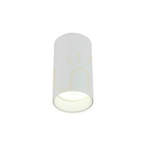 Amis White  Downlight small 8