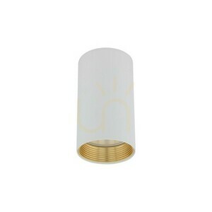 Amis White  Downlight small 0