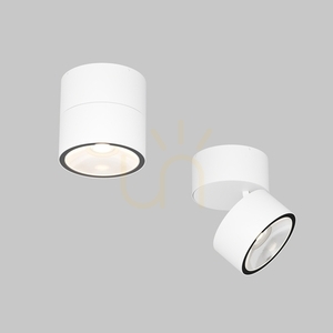 Zewnętrzna lampa sufitowa Maytoni Spin O310CL-L5W3K biała LED 5 W IP54 small 5