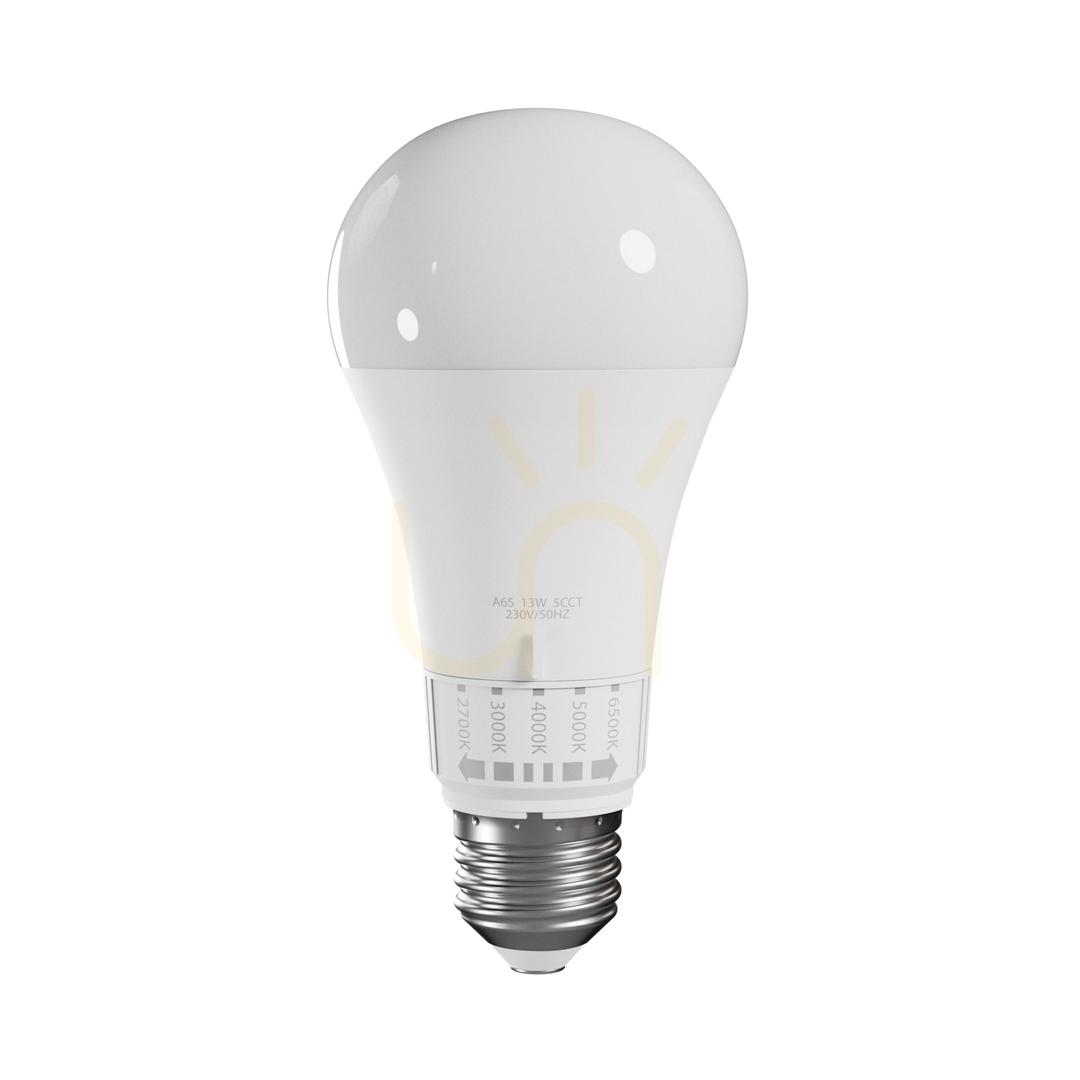 Zobacz Led Gls E 27 230 V 13 W 5 Cct Spectrum Led Gls E 27 230 V 13 W 5 Cct Spectrum