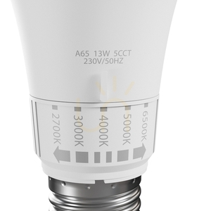 Led Gls E 27 230 V 13 W 5 Cct Spectrum 2 Led Gls E 27 230 V 13 W 5 Cct Spectrum small 2