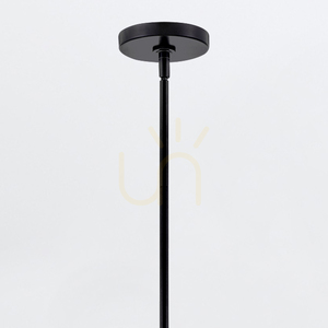 Mała lampa wisząca MADDOX - 1 źródło światła - Czarny QUINTIESSE small 4