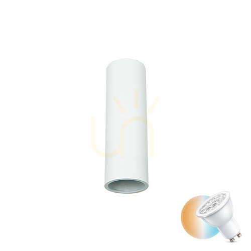 Sprawdź Spot sufitowy 1xgu10 aluminium biały ZAMBELIS
