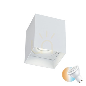 Sufitowa lampa punktowa Gu10 MAX 40W biała ZAMBELIS 0 Sufitowa lampa punktowa Gu10 MAX 40W biała ZAMBELIS small 0