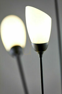 Lampa Podłogowa GLORIOSA Czarny 9xG9/14W small 10