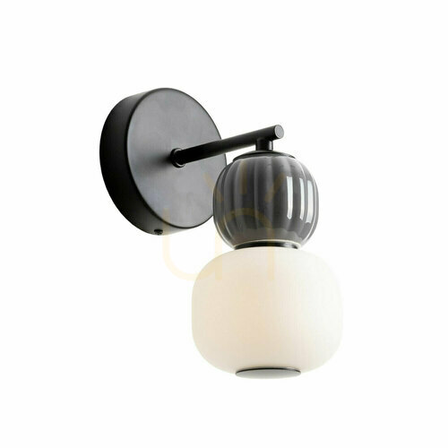 Sprawdź Kinkiet Max Light Modern W0400 LED 5W czarny 3000K 25 cm