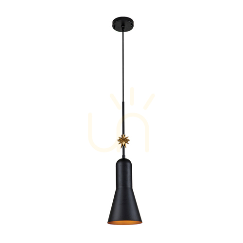 Sprawdź Średnia lampa wisząca Etoile - 1 źródło światła - Matowa czerń / Płatki złota Elstead