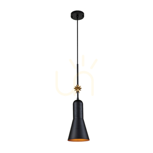 Średnia lampa wisząca Etoile - 1 źródło światła - Matowa czerń / Płatki złota Elstead small 0